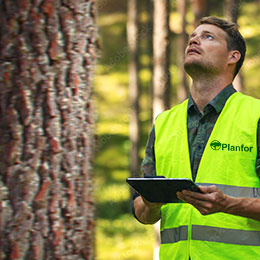 gestionnaire forestier professionnel -gfp